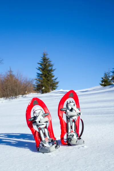 Sneeuwschoenen. sneeuwschoenen in de sneeuw. — Stockfoto