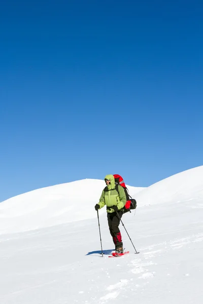 Senderismo de invierno en las montañas en raquetas de nieve con una mochila y tienda de campaña . — Foto de Stock