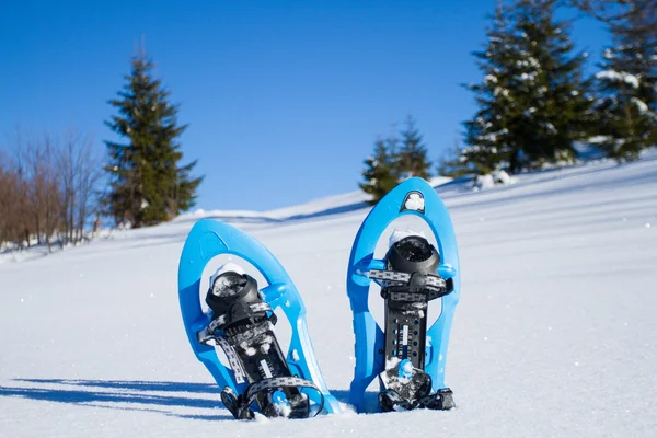 Raquetas de nieve. raquetas de nieve en la nieve . — Foto de Stock