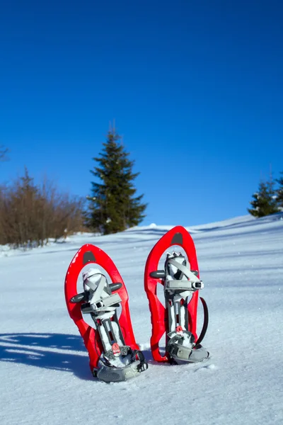 Snowshoeing. kar kar ayakkabıları. — Stok fotoğraf