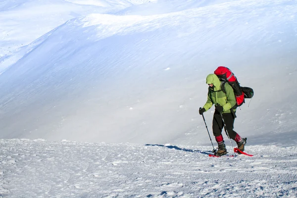 Winter Hiking. — Stock Photo, Image