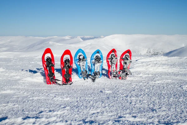 Snowshoeing. Kar kar ayakkabıları. Kış. — Stok fotoğraf