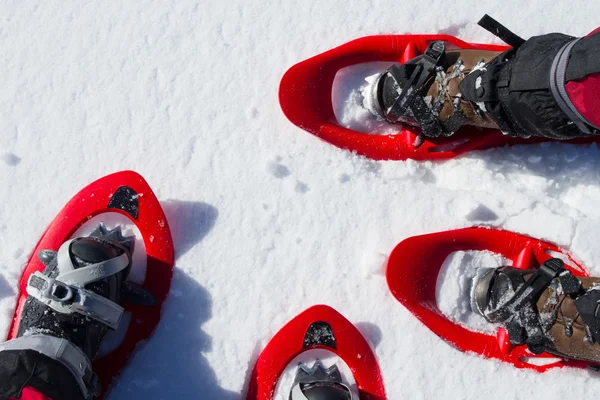 Winterwandelen in de bergen — Stockfoto