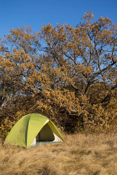Tienda de campaña Camping en Redwoods . —  Fotos de Stock