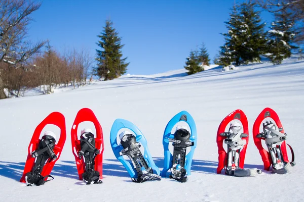 Raquetas de nieve. raquetas de nieve en la nieve . — Foto de Stock