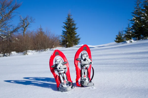 Schneeschuhwandern. Schneeschuhe im Schnee. — Stockfoto