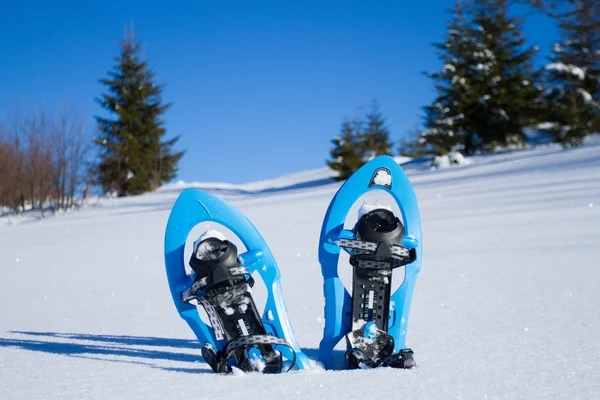 Snowshoeing. kar kar ayakkabıları. — Stok fotoğraf