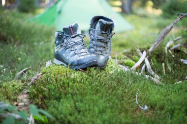 Sweden.Camping İsveç'in vahşi doğada vahşi doğada kamp.