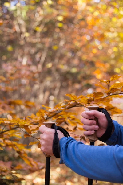 Marche nordique dans les montagnes d'automne . — Photo