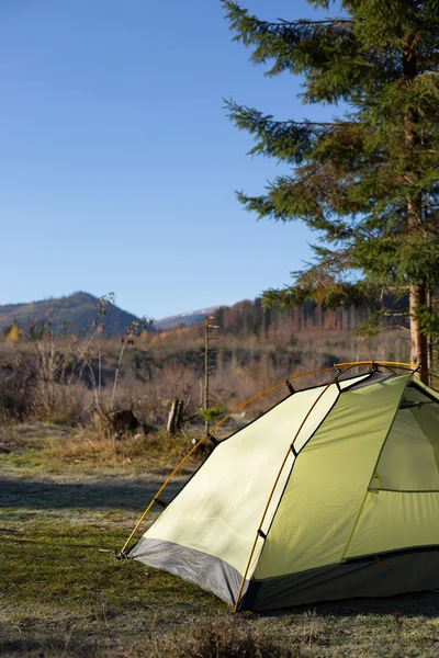 Zeltplatz mit bunten Zelten im Wald. — Stockfoto