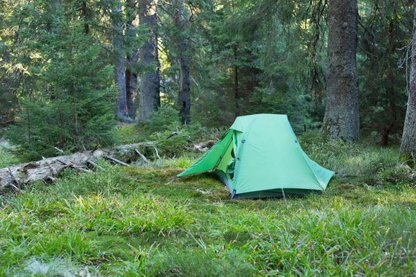 Área de acampada con carpas multicolores en el bosque . —  Fotos de Stock