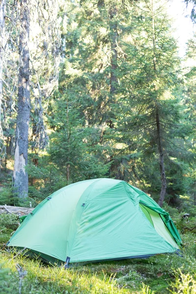 Área de acampamento com tendas multicoloridas na floresta . — Fotografia de Stock