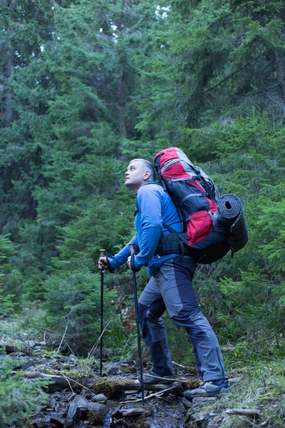 Backpacker dağlarda. Kafkas Dağları'da yürüyüş — Stok fotoğraf