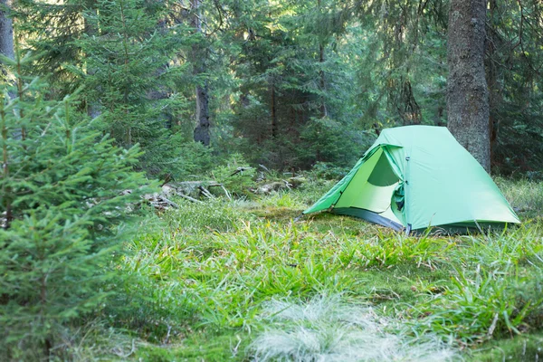 フォレストに複数の色のテントでキャンプ場. — ストック写真