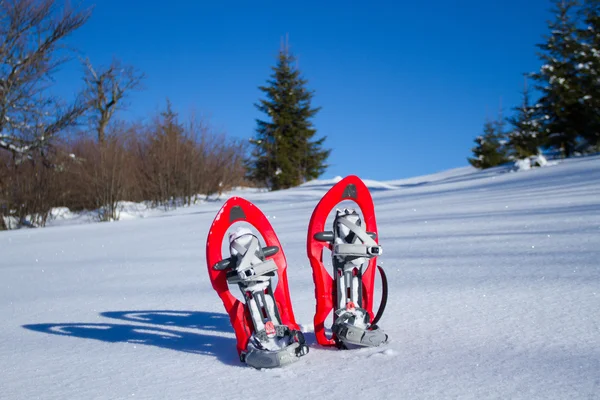 Sapatilha de neve. Sapatilhas de neve na neve.Sapatos de neve na neve . — Fotografia de Stock