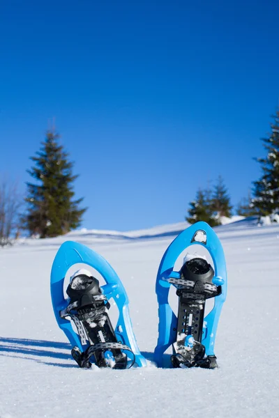 Snowshoeing. χιονοπέδιλα στο χιόνι. — Φωτογραφία Αρχείου