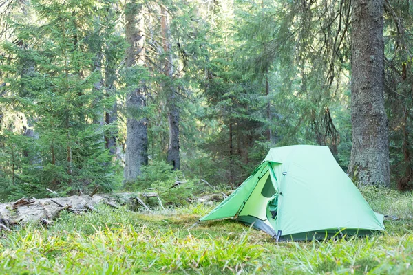 Área de camping con carpas multicolores en el bosque.Área de camping con carpas multicolores en el bosque . —  Fotos de Stock