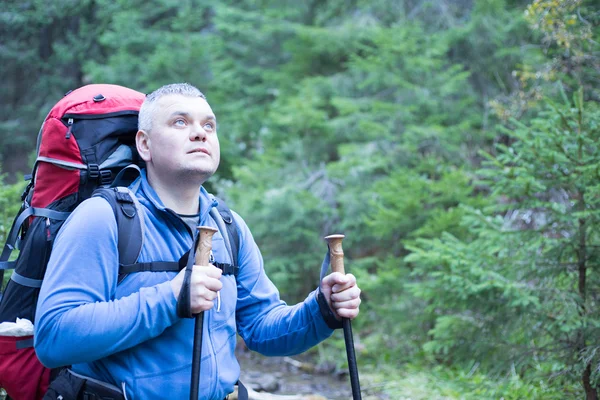 Vandring i Kaukasus. Vandring i Kaukasus. — Stockfoto