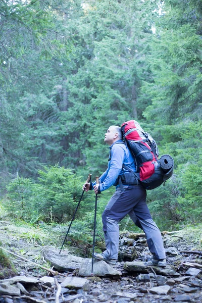 Wandelen in de Kaukasus. Wandelen in de Kaukasus. — Stockfoto