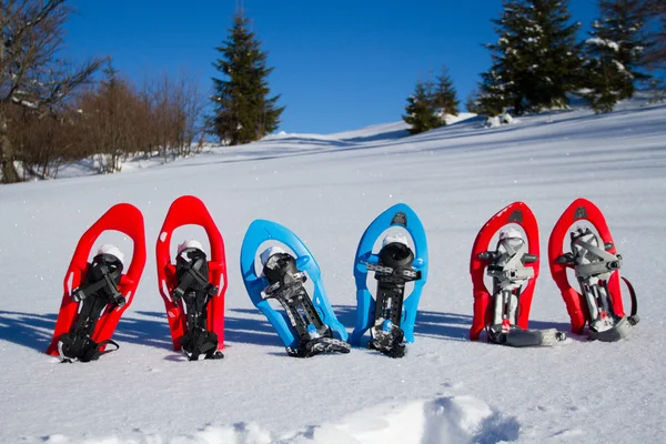 Snowshoeing. Snowshoes in the snow.Snowshoeing. Snowshoes in the snow. — Stock Photo, Image