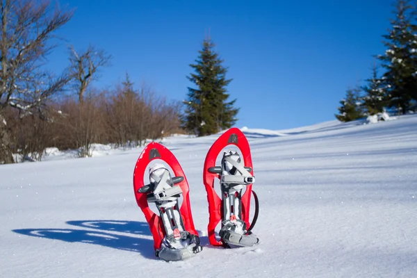 Snowshoeing. Kar kar ayakkabıları. Snowshoeing. Kar kar ayakkabıları. — Stok fotoğraf