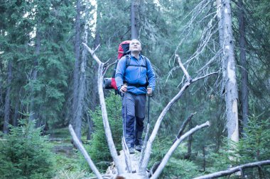 Kafkas Dağları'da yürüyüş.