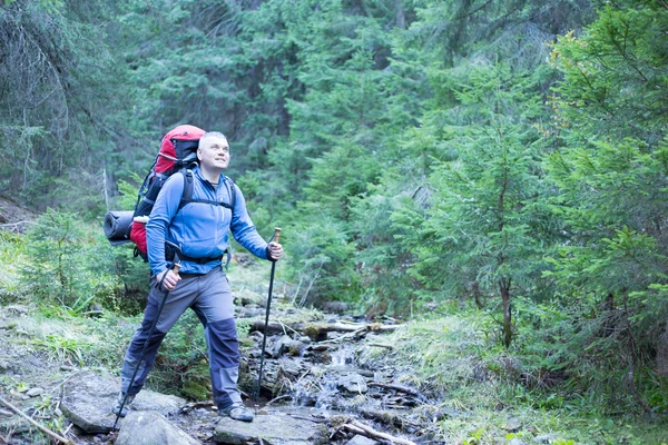 Wandelen in de Kaukasus. — Stockfoto