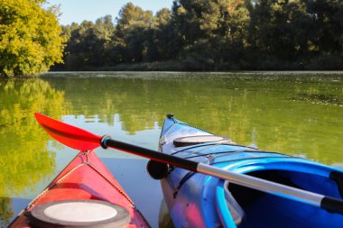 Tropikal sahilde renkli kanolar.