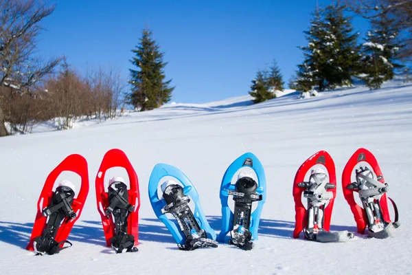 Snowshoeing. χιονοπέδιλα στο χιόνι. — Φωτογραφία Αρχείου