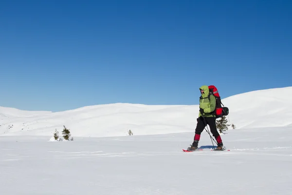 Vinter vandring i bergen på snöskor med en ryggsäck och tält. — Stockfoto