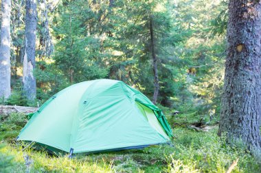 Yeşil çadır olduğu yeşil puslu ormandaki.