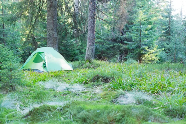 Zielony namioty są w zielonym lesie mglisty. — Zdjęcie stockowe