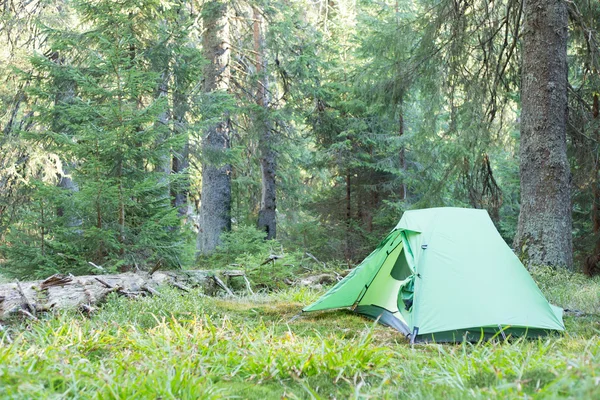 Tiendas verdes están en el bosque brumoso verde . —  Fotos de Stock