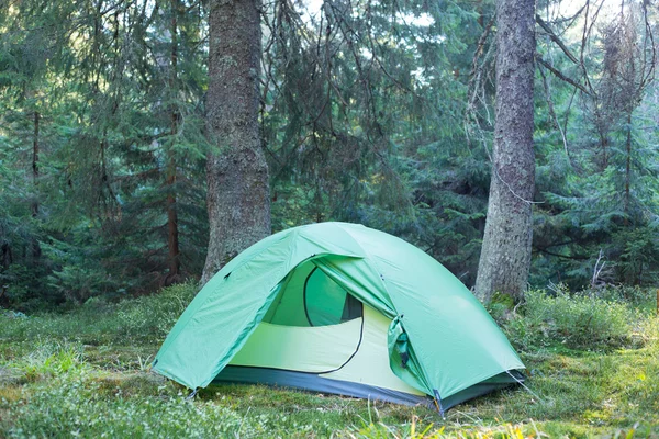 緑のテントは、緑の霧の森. — ストック写真