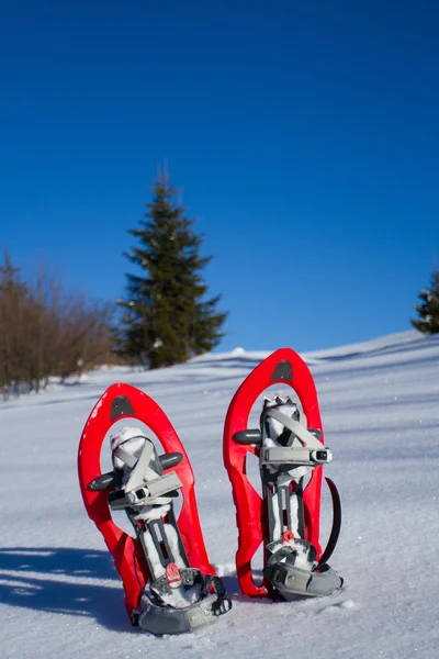 Sapatilha de neve. Sapatos de neve na neve . — Fotografia de Stock
