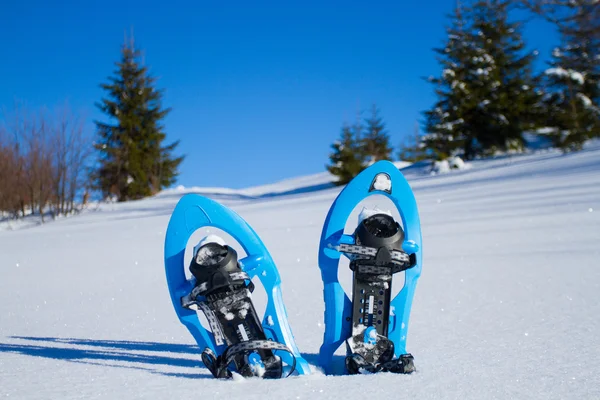 Snowshoeing. χιονοπέδιλα στο χιόνι. — Φωτογραφία Αρχείου