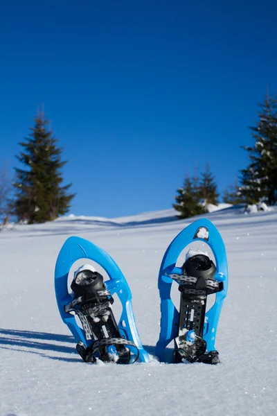 Snowshoeing. kar kar ayakkabıları. — Stok fotoğraf