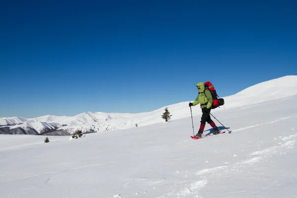 Senderismo de invierno en las montañas en raquetas de nieve con una mochila y tienda de campaña . — Foto de Stock