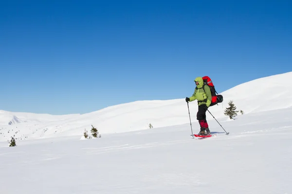 Caminhadas de inverno nas montanhas em sapatos de neve com uma mochila e tenda . — Fotografia de Stock