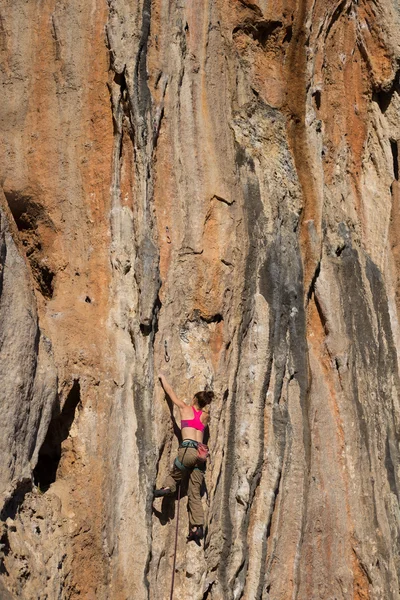 崖にぶら下がっている若い男性登山家 — ストック写真