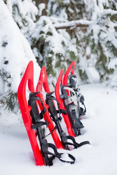 Sapatilha de neve. Sapatos de neve na neve . — Fotografia de Stock