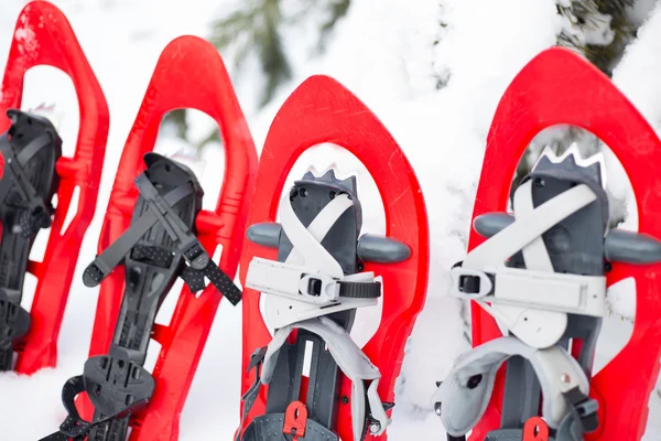 Snowshoeing. Snowshoes in the snow. — Stock Photo, Image