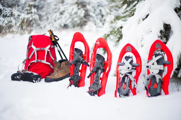 Sapatilha de neve. Sapatos de neve na neve . — Fotografia de Stock