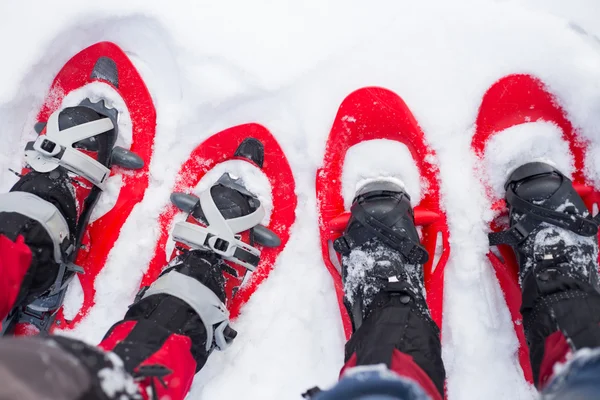 Sapatilha de neve. Sapatos de neve na neve . — Fotografia de Stock
