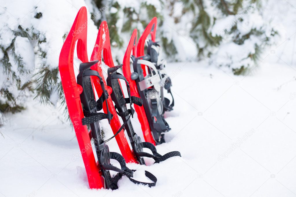 Snowshoeing. Snowshoes in the snow.