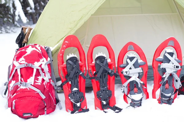 Cuatro raquetas de nieve rojas pegadas en la nieve junto al abeto . —  Fotos de Stock