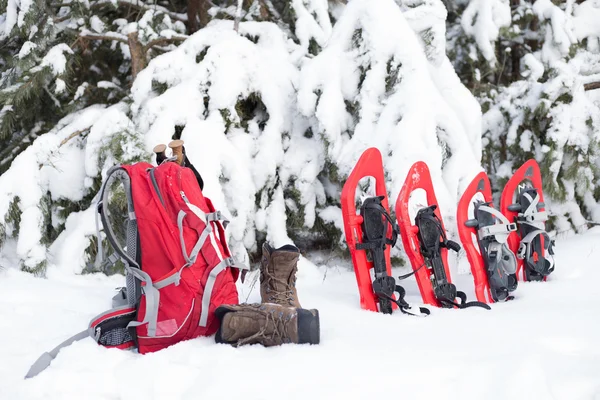 Quatro sapatos de neve vermelhos presos na neve ao lado do abeto . — Fotografia de Stock