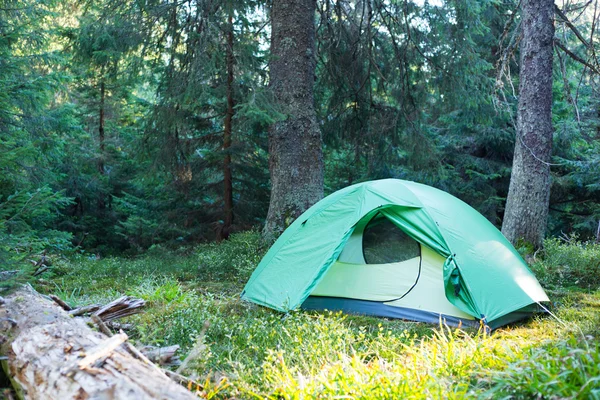 Gröna tält är i den dimmiga skogen — Stockfoto