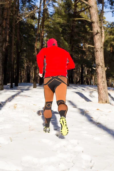 Vinter terränglöpning: man tar en springa på en snöig berg väg i en pinjeskog. — Stockfoto