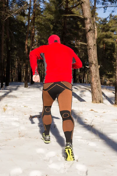 Winter trail uitgevoerd: man neemt een run op een besneeuwde bergpad in een pine woods. — Stockfoto